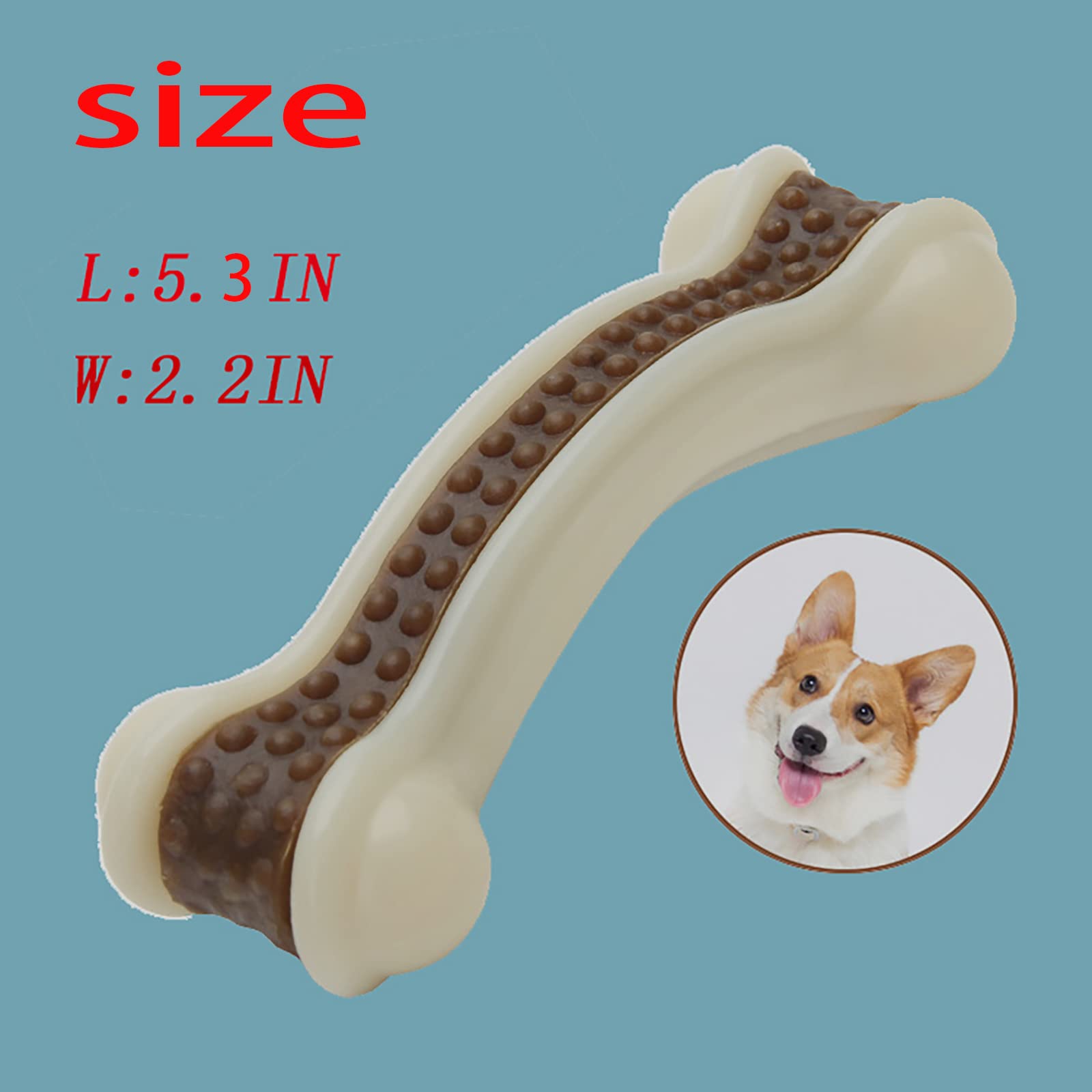 BETTEPROD chien jouant avec l’os, stimulation et plaisir prolongé
