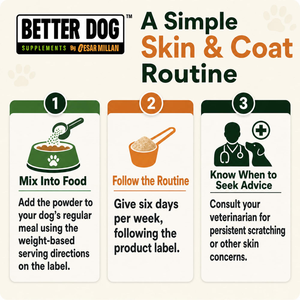 Flacon Skin Magic Better Dog à côté d'un guide de taille pour visualiser les 4 oz