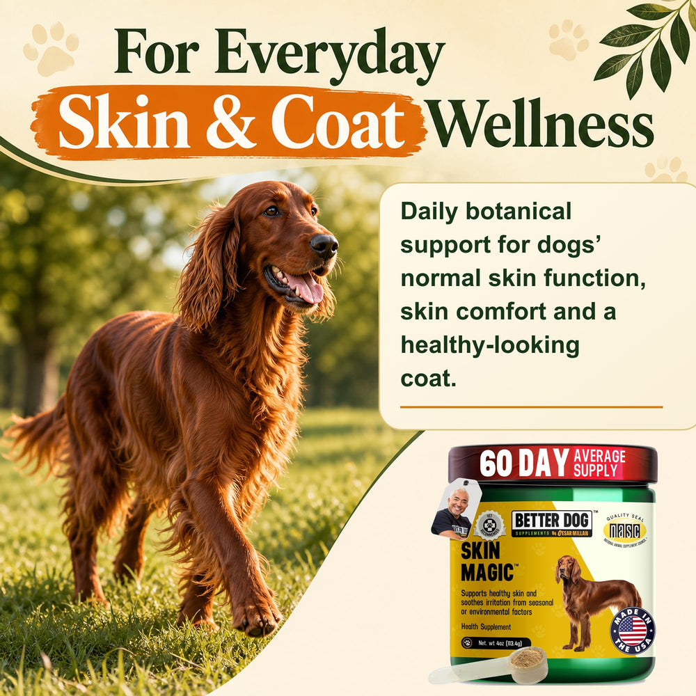 Cuillère remplie de Skin Magic Better Dog illustrant la posologie pratique et l'application simple