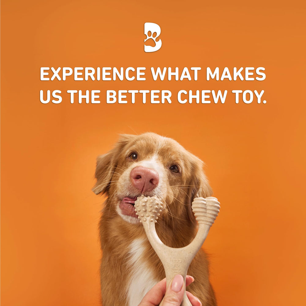 BetterBone chien mâchant le trident pour exercice des mâchoires et stimulation