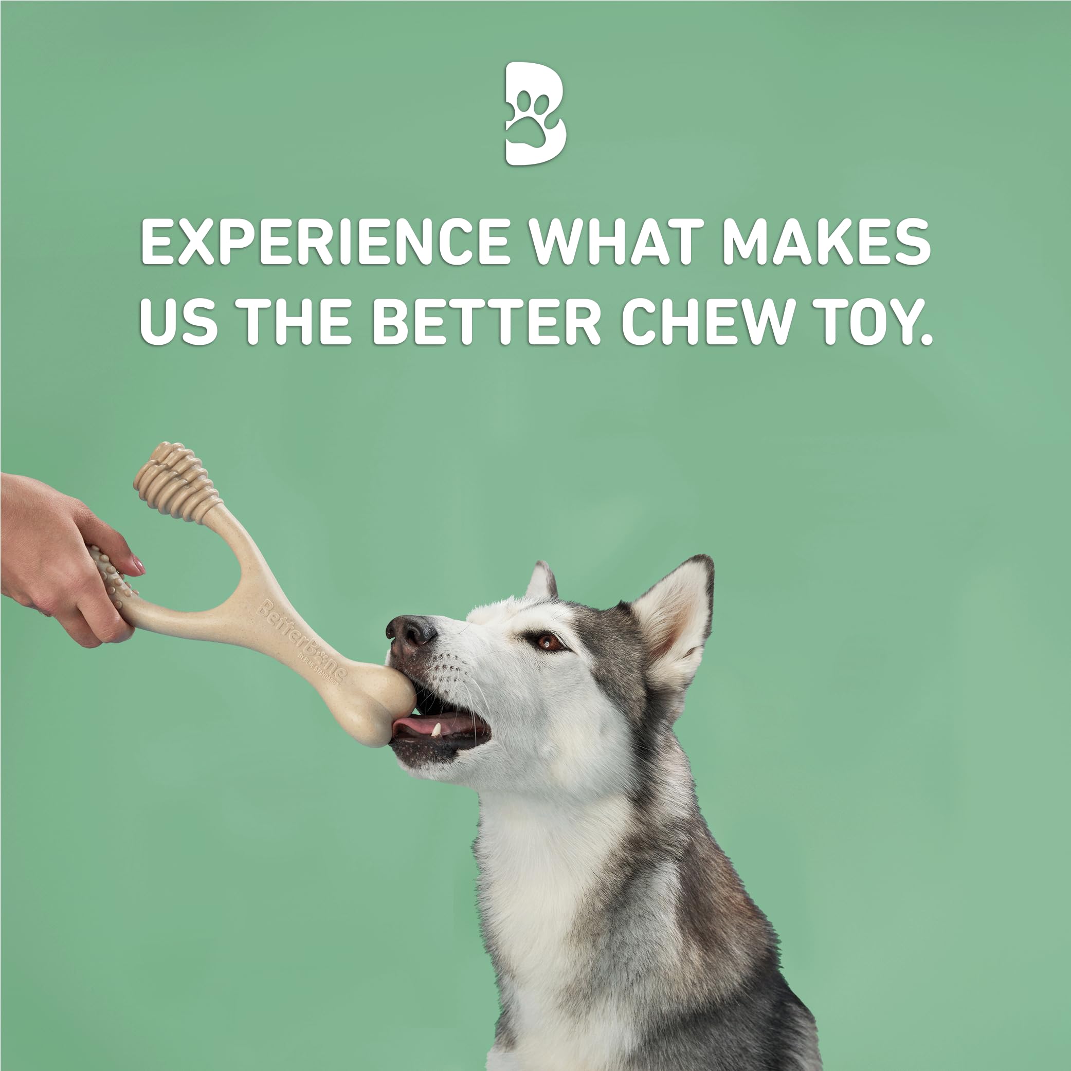 BetterBone tenu en main illustrant la taille small pour petits chiens