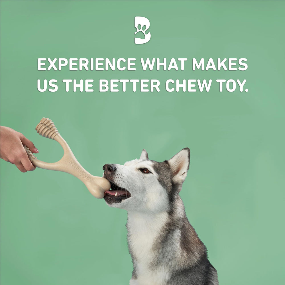 BetterBone chien en usage mastication contrôlée pour stimulation