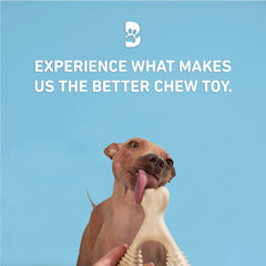 BetterBone en usage avec chiot réduisant inconfort de dentition
