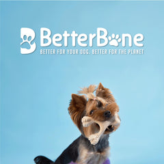 BetterBone gros plan texture montrant nubs et avantage nettoyage