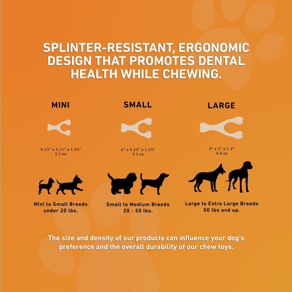 BetterBone mise en scène extérieure illustrant durabilité et activité canine sûre