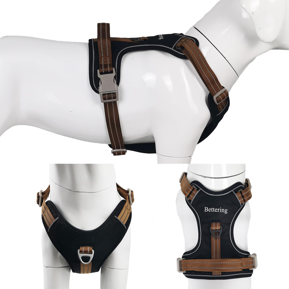 Bettering harnais échelle de taille pour choisir la bonne dimension