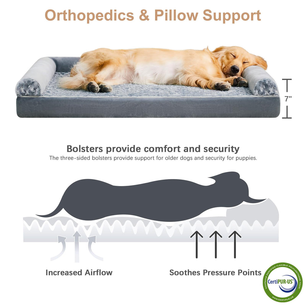 BFPETHOME chien âgé dort paisiblement démontrant confort