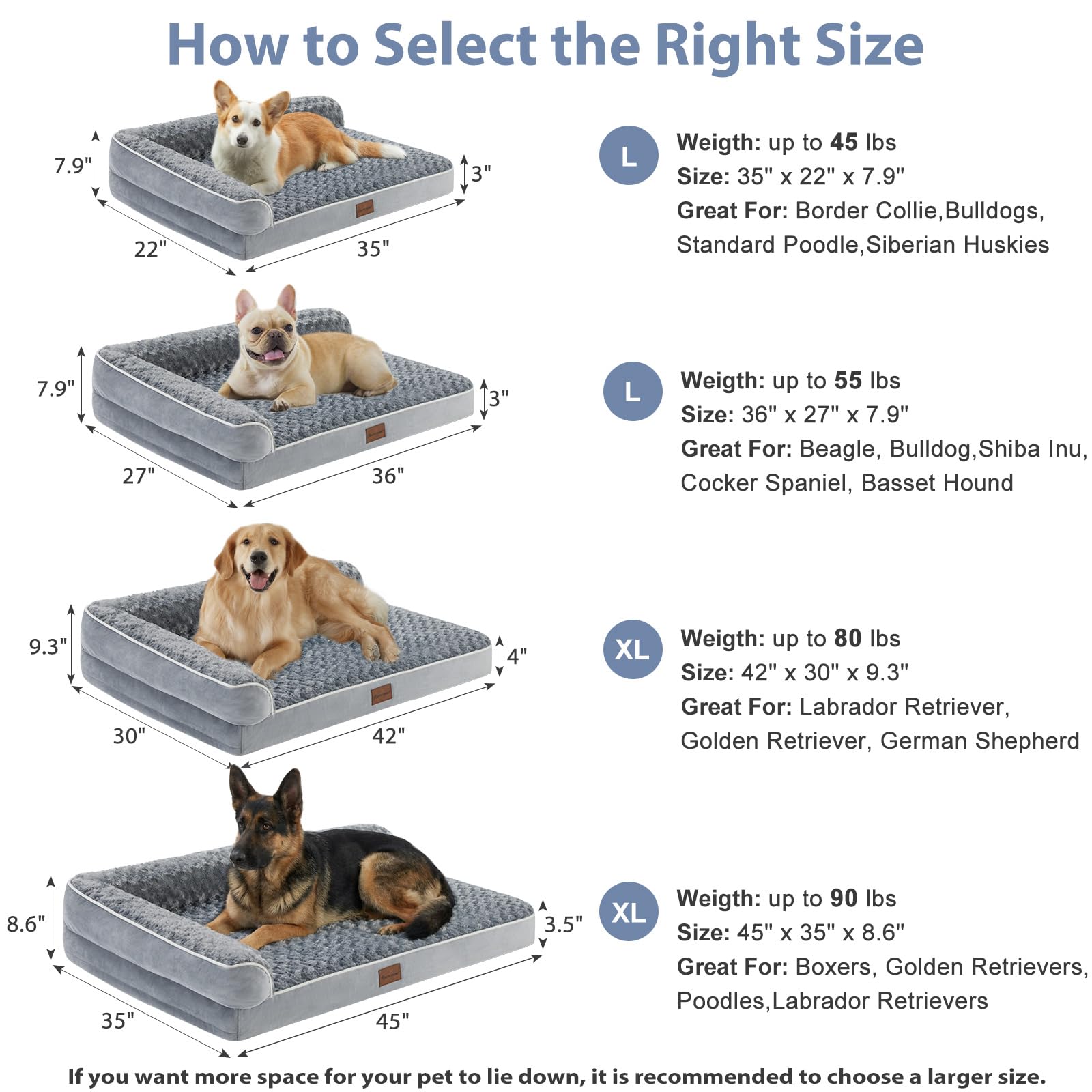 BFPETHOME chien senior couché dans lit illustrant confort et facilité d'accès