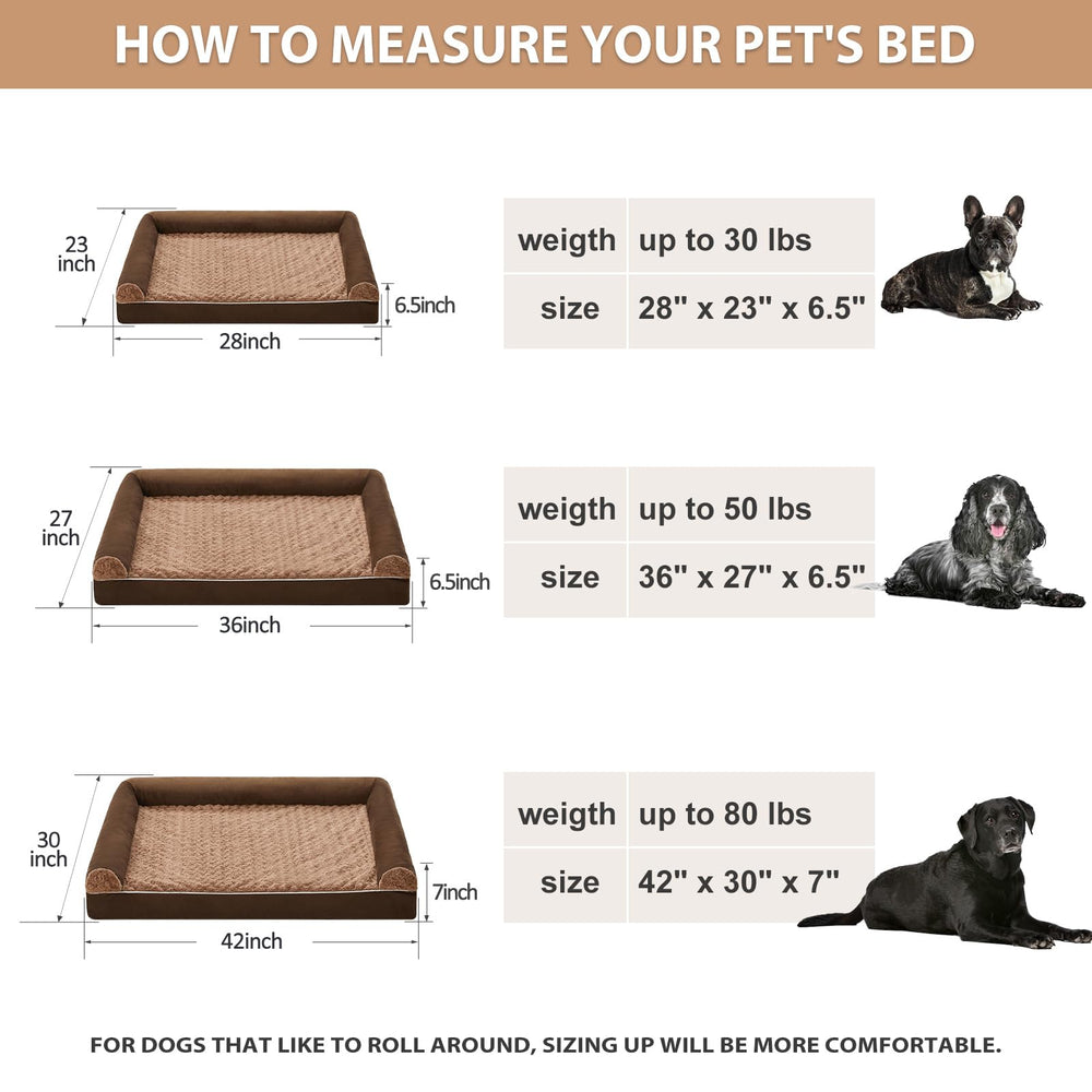 BFPETHOME comparaison taille montrant espace pour chien moyen à grand