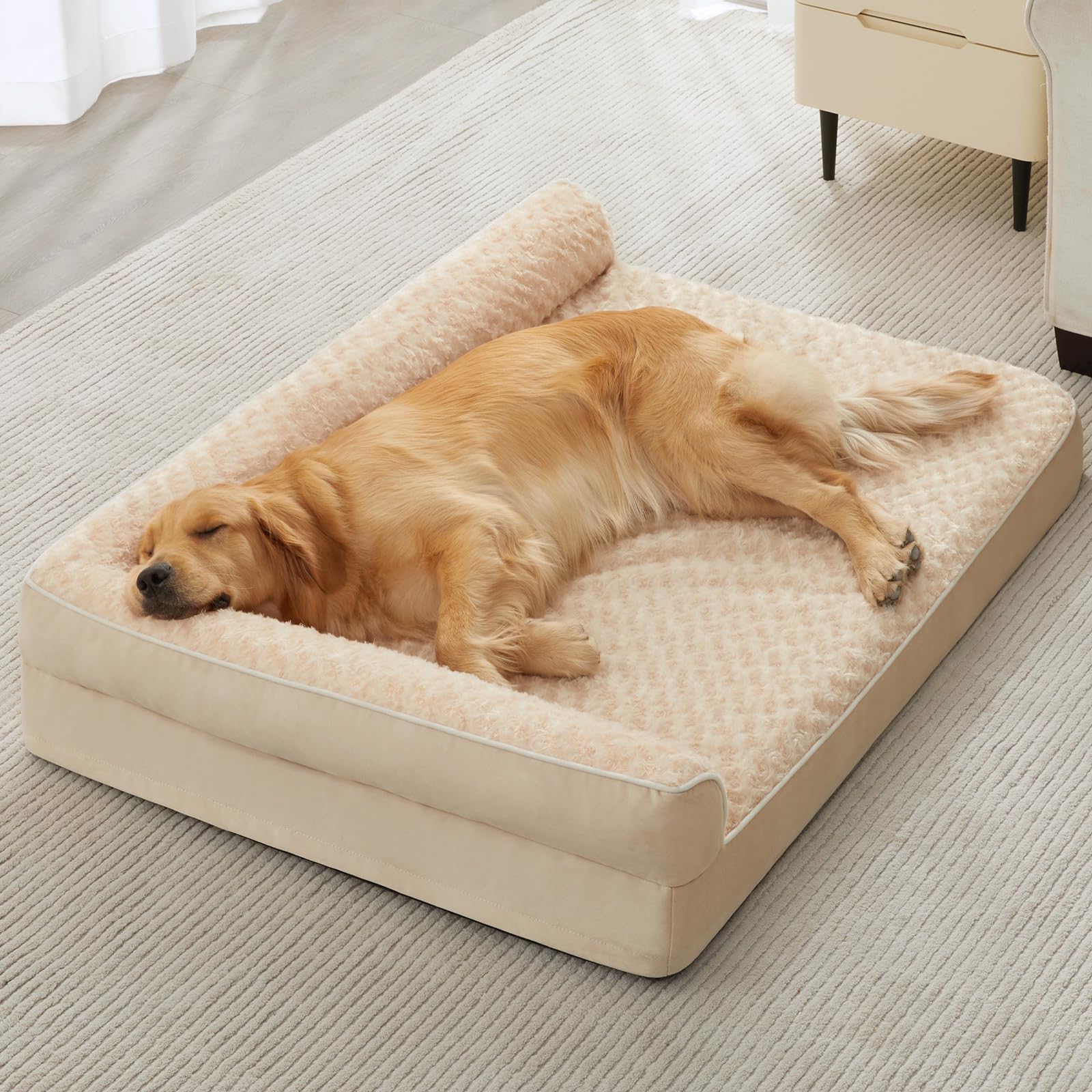 BFPETHOME chien senior reposant dans salon montrant bien-être