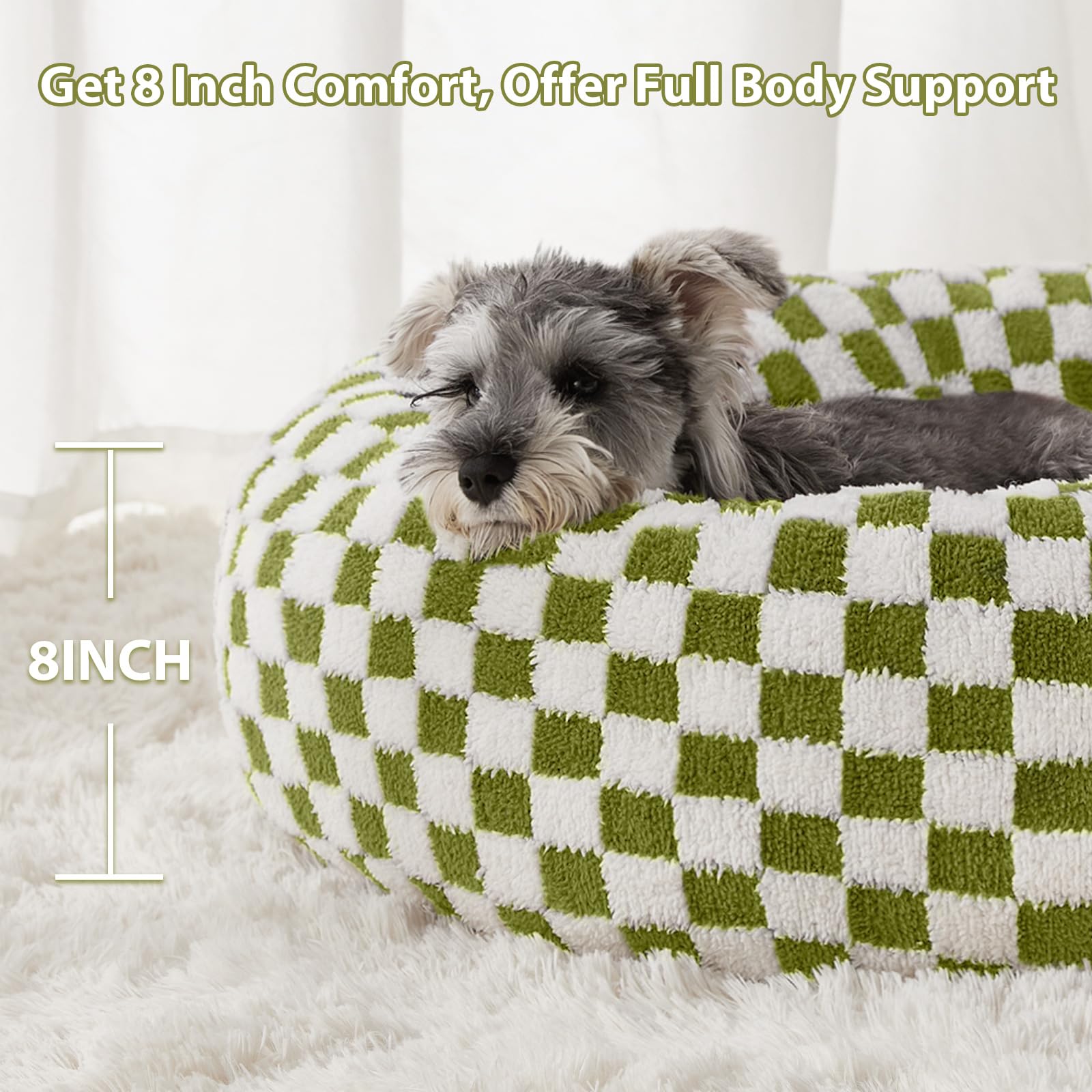 BFPETHOME chiot blotti dans le lit offrant sentiment de sécurité