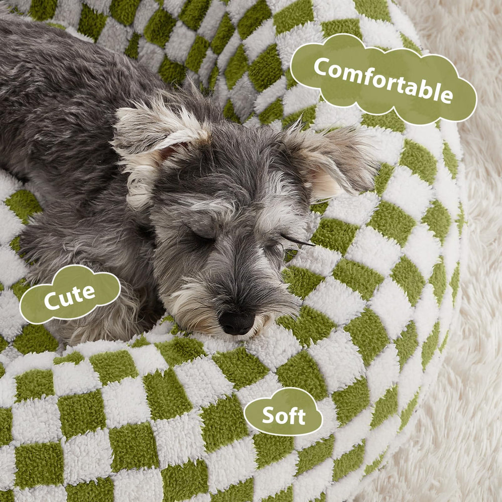 BFPETHOME gros plan texture peluche douce pour confort tactile