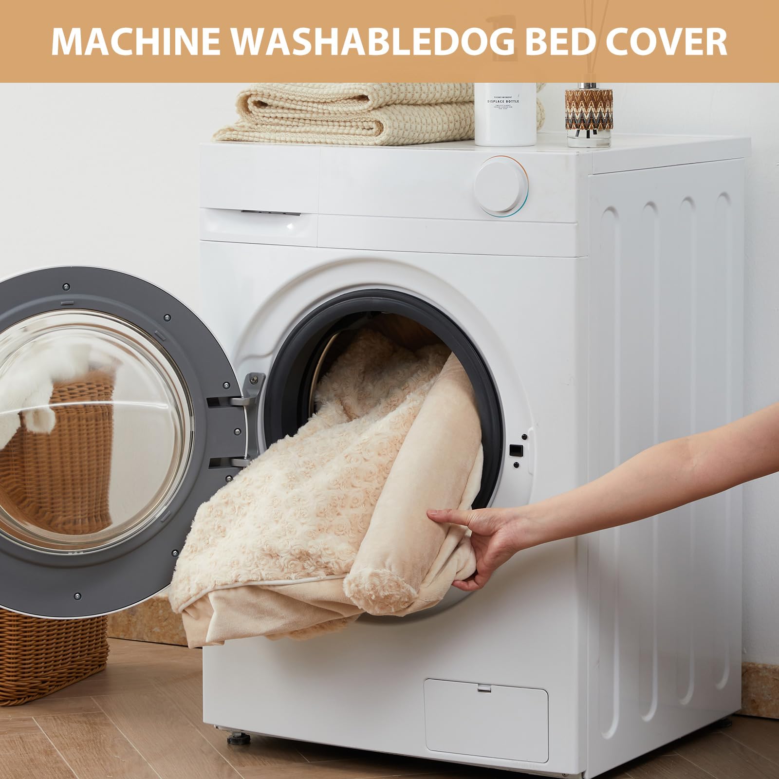 BFPETHOME chien installé montrant confort et relaxation immédiate