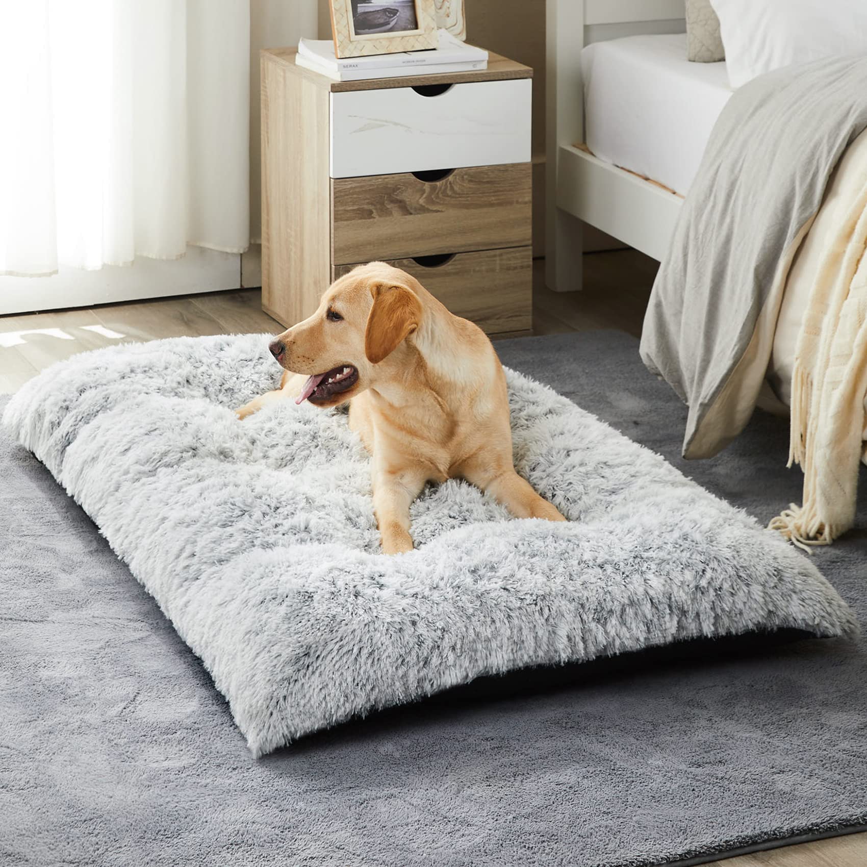 BFPETHOME lit devant montrant forme et finition, confort visuel immédiat