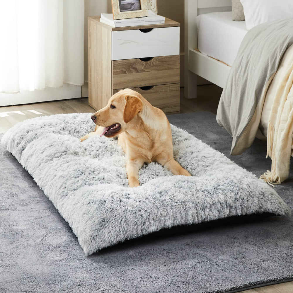 BFPETHOME lit devant montrant forme et finition, confort visuel immédiat