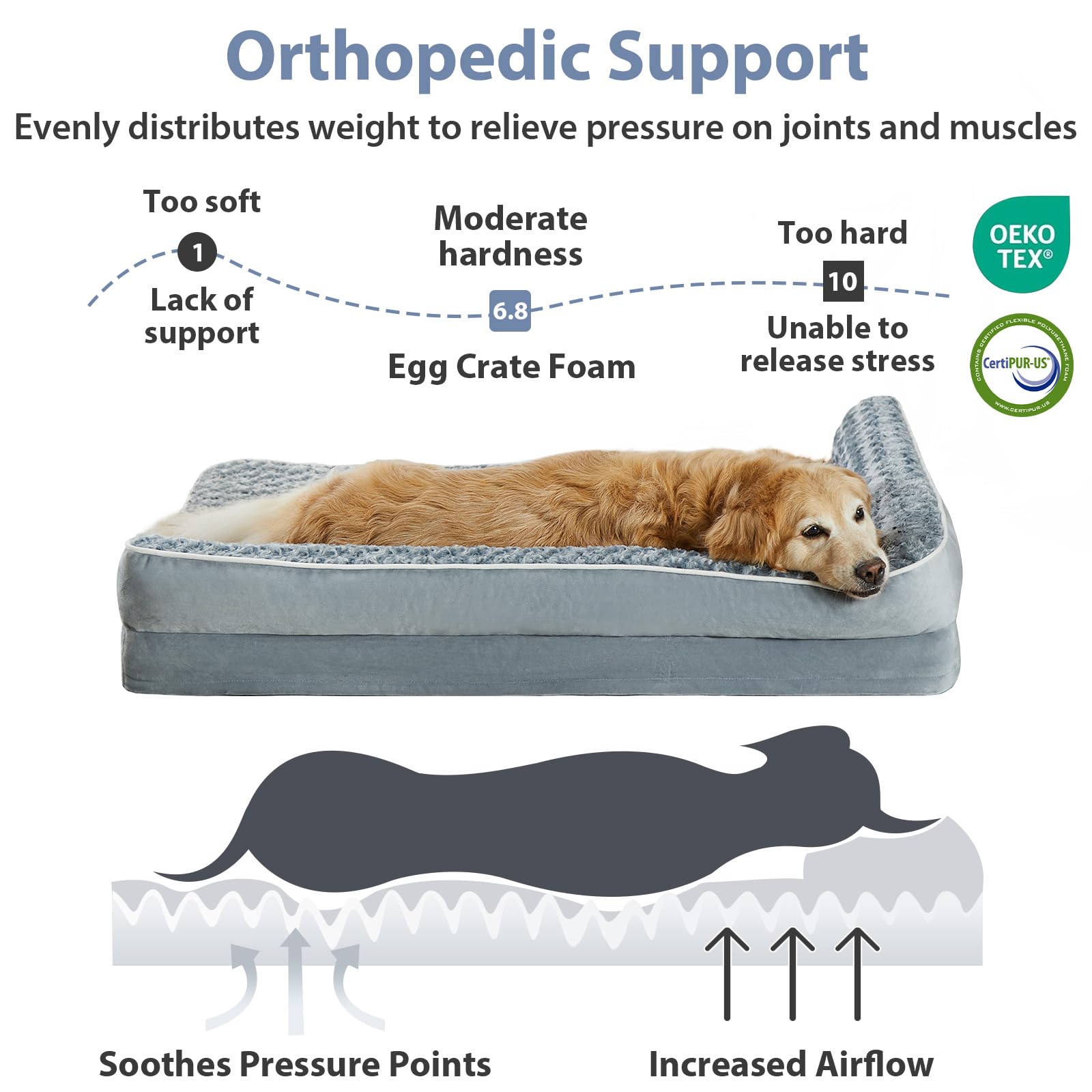 BFPETHOME coupe mousse egg‑crate montrant soutien uniforme et absorption de pression