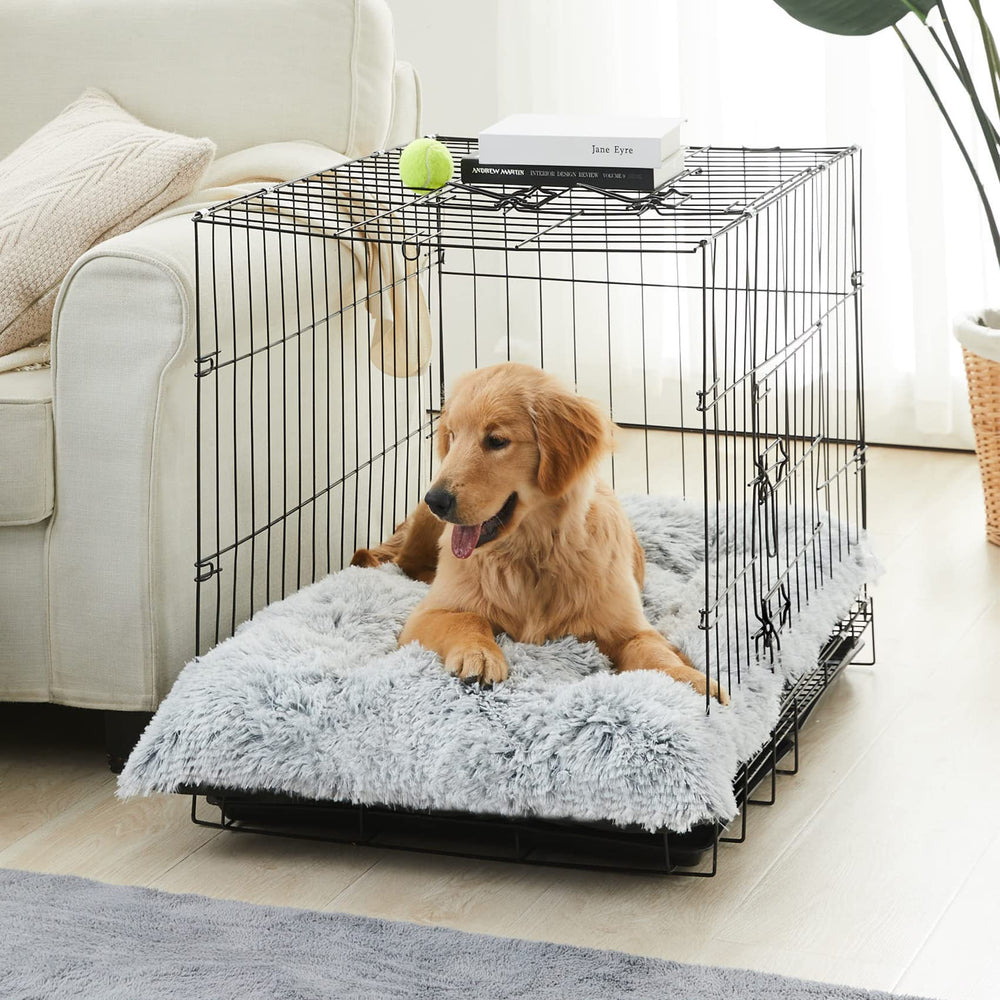 BFPETHOME lit posé sur canapé en intérieur, intégration élégante au salon