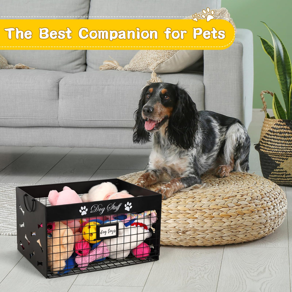 Bfttlity comparaison de taille avec jouets pour évaluer capacité