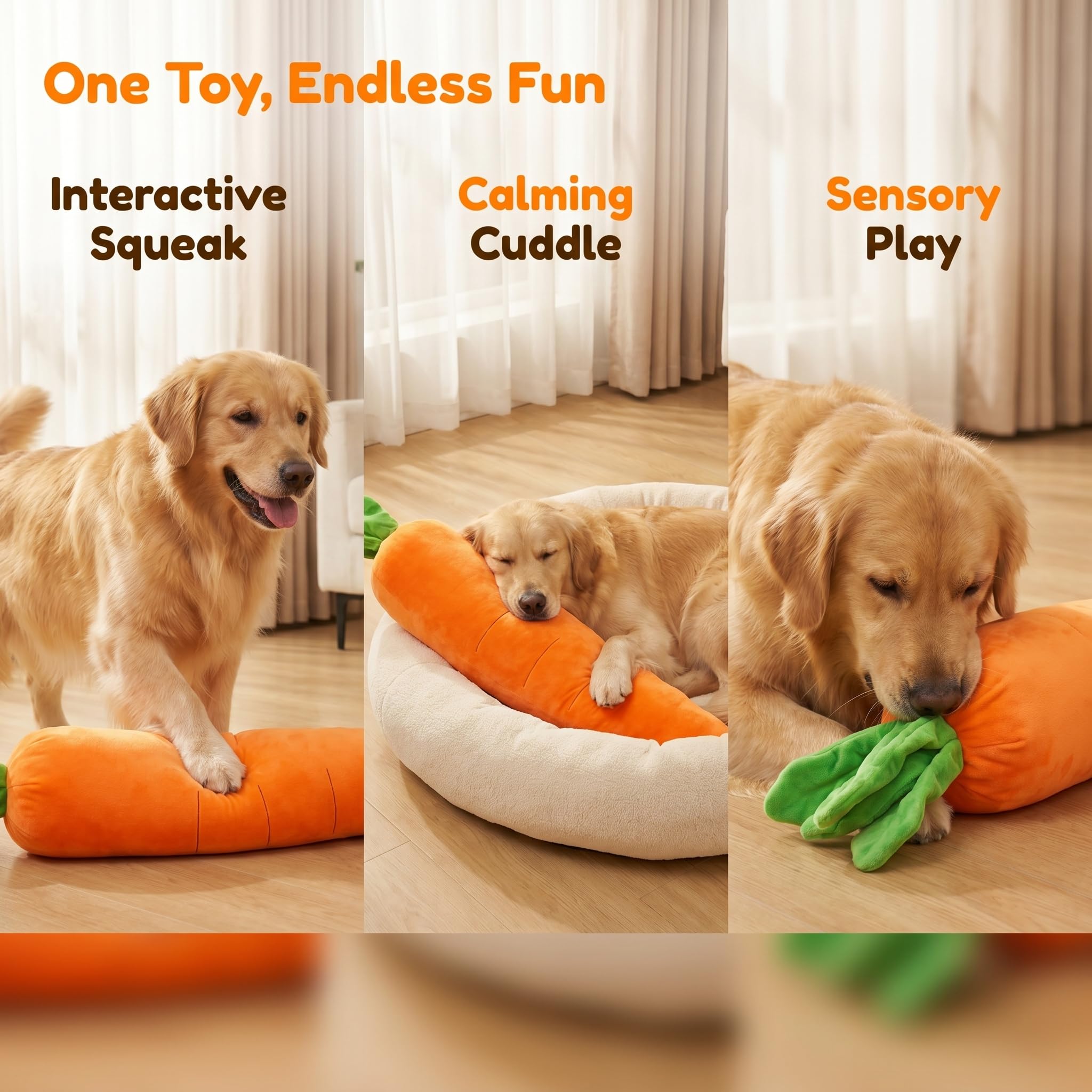 BHDJSHX chien jouant en intérieur illustrant engagement et activité