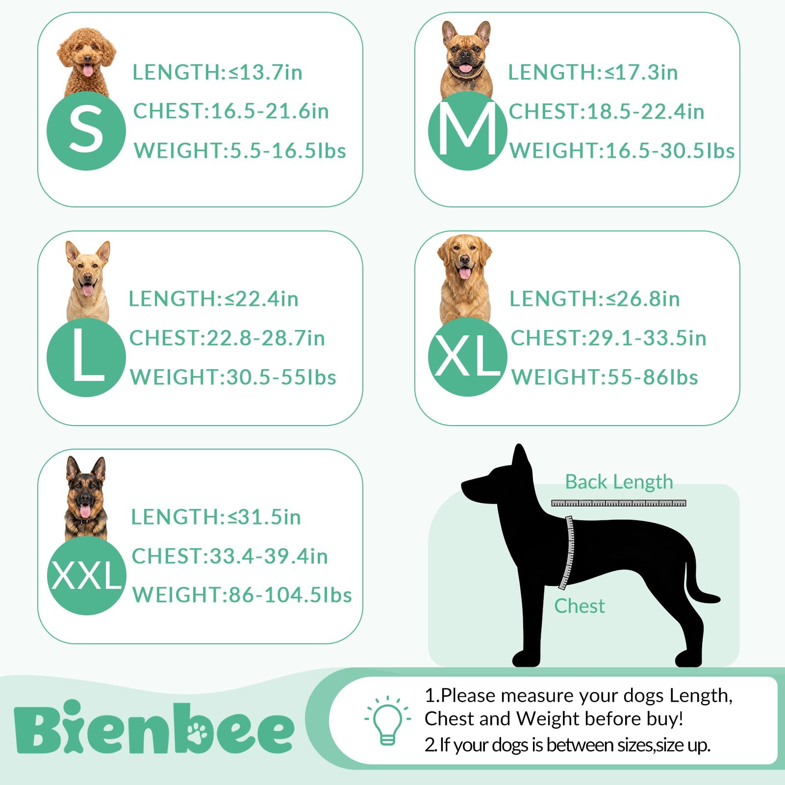 Bienbee usage après bain gardant le chien au chaud et sec