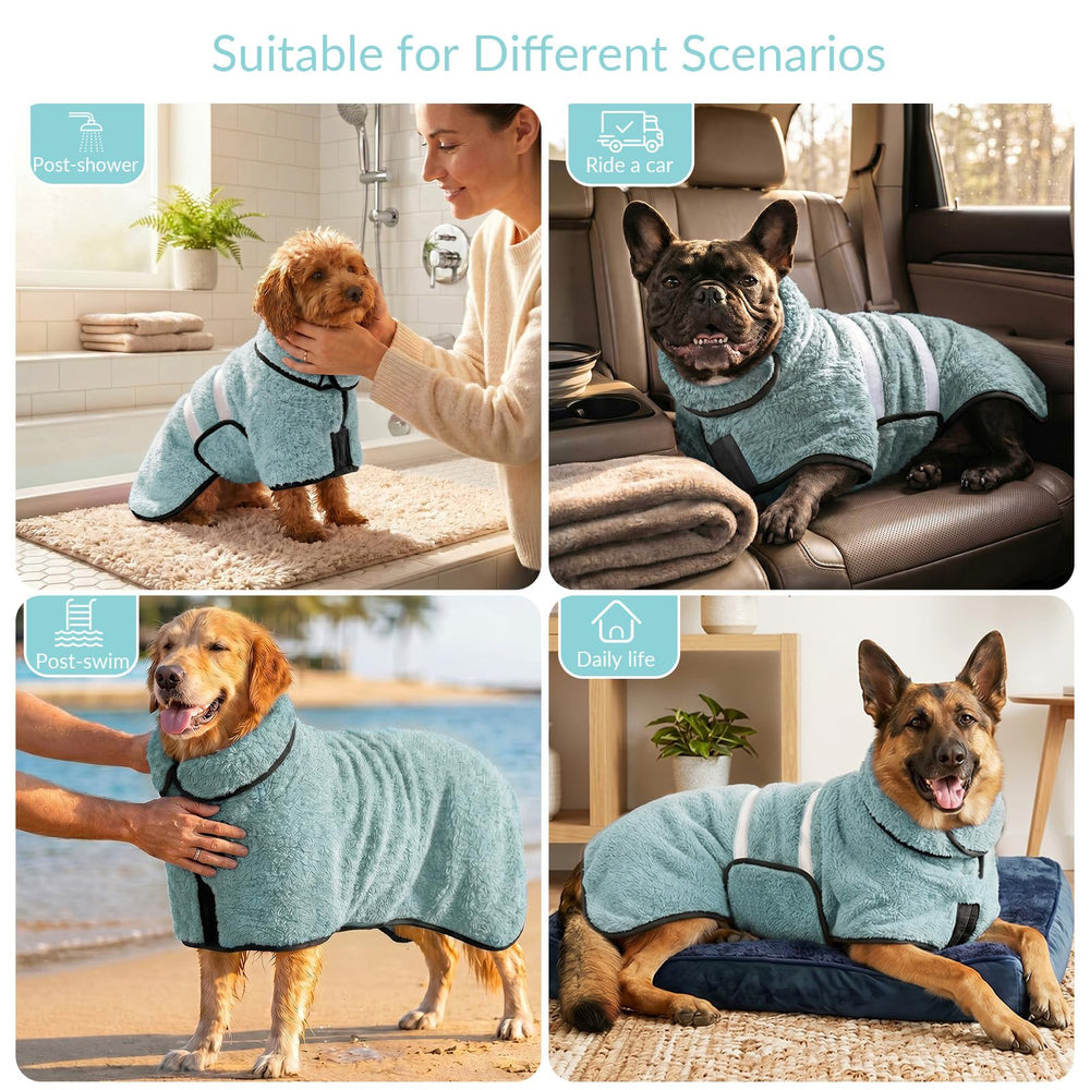 Bienbee scène de salon montrant le chien confortable et au sec