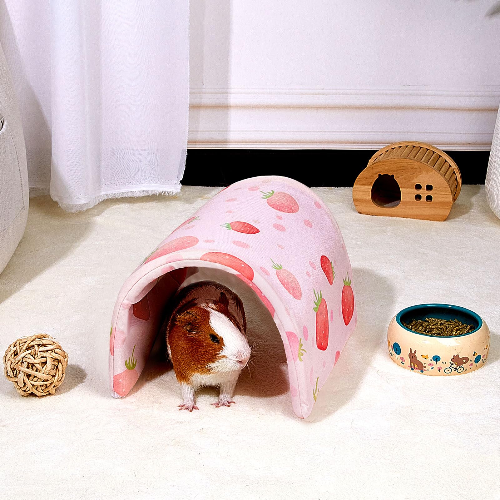 Bienbee tunnel en usage avec cochon d'Inde stimulant jeu