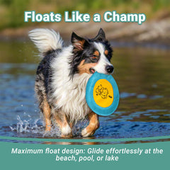 Bifeaw frisbee flottant sur l'eau facilitant récupération et jeu aquatique
