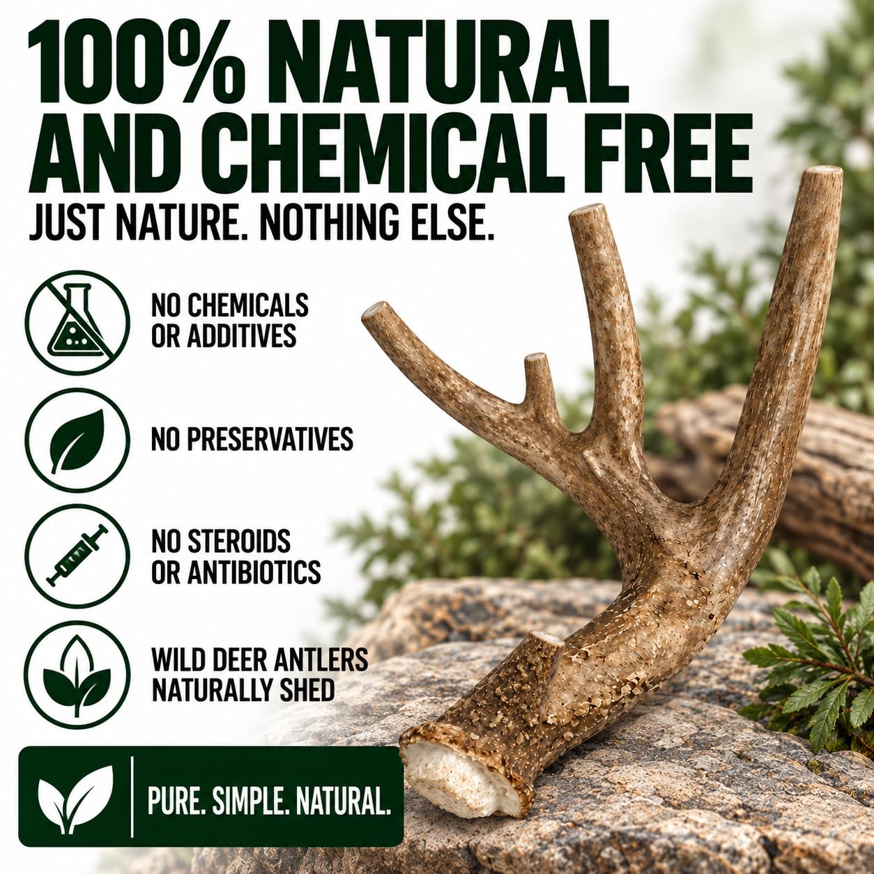 Big Dog Antler Chews comparaison avec jouet montrant supériorité en robustesse