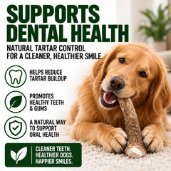 Big Dog Antler Chews échelle montrant épaisseur XL utile pour chiens puissants