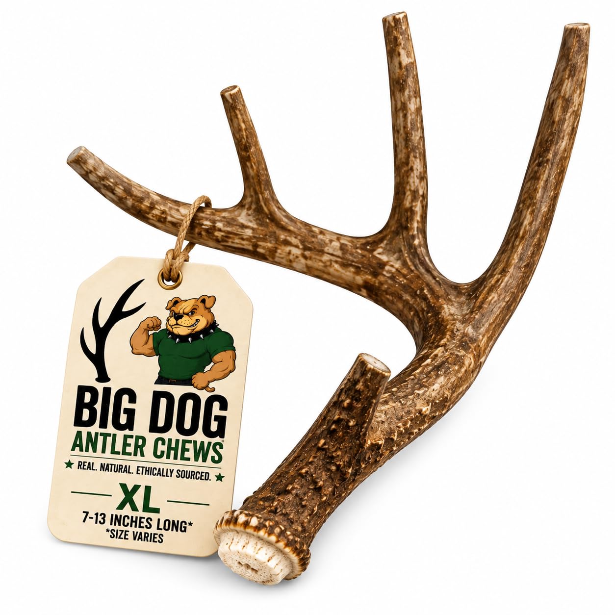 Big Dog Antler Chews emballage avant montrant antler XL et avantage durabilité