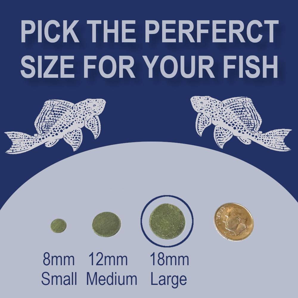 BIG KAHUNA TROPICAL FISH étiquette lisible avec informations nutritionnelles claires