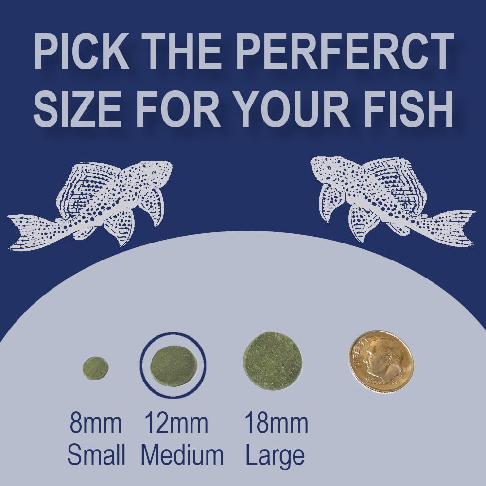 BIG KAHUNA TROPICAL FISH étiquette nutritionnelle lisible pour choix éclairé