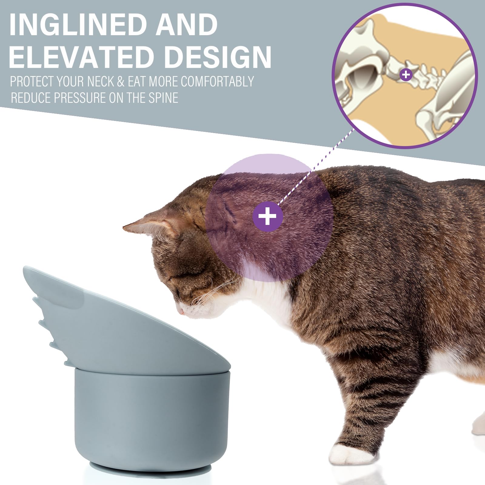 Bikabpet bol incliné angle réglable pour posture de repas améliorée