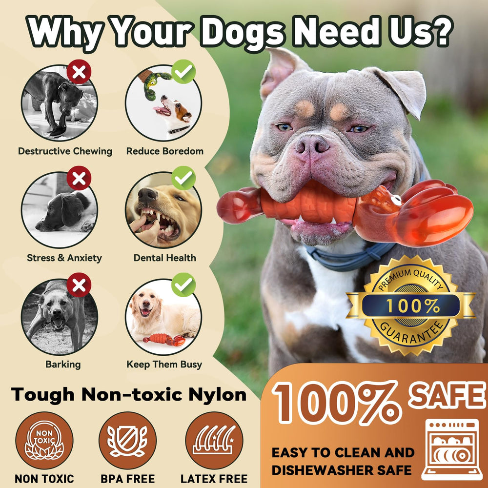 BIKIISEN jouet homard en usage avec grand chien stimule activité