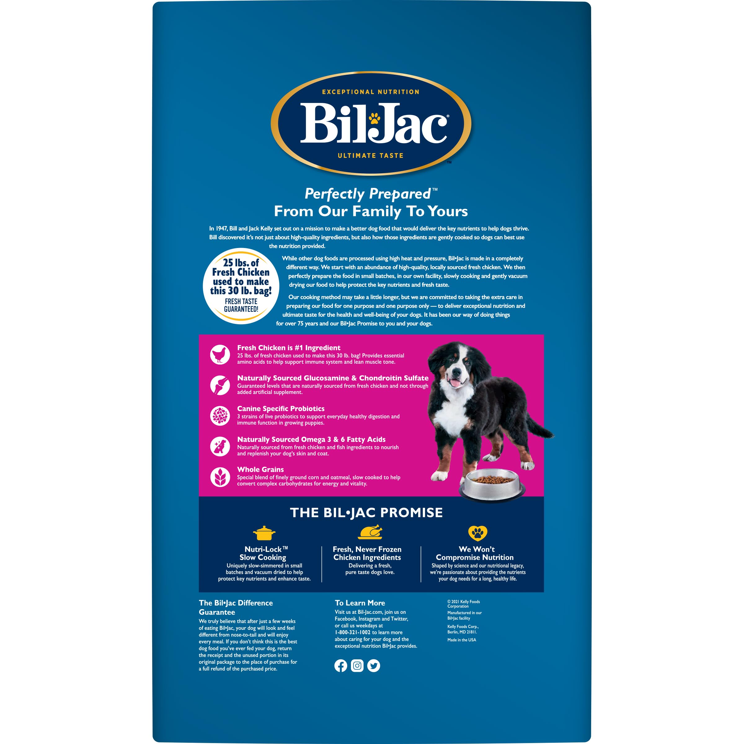 Bil-Jac gros plan des croquettes montrant texture et appétence pour chiots