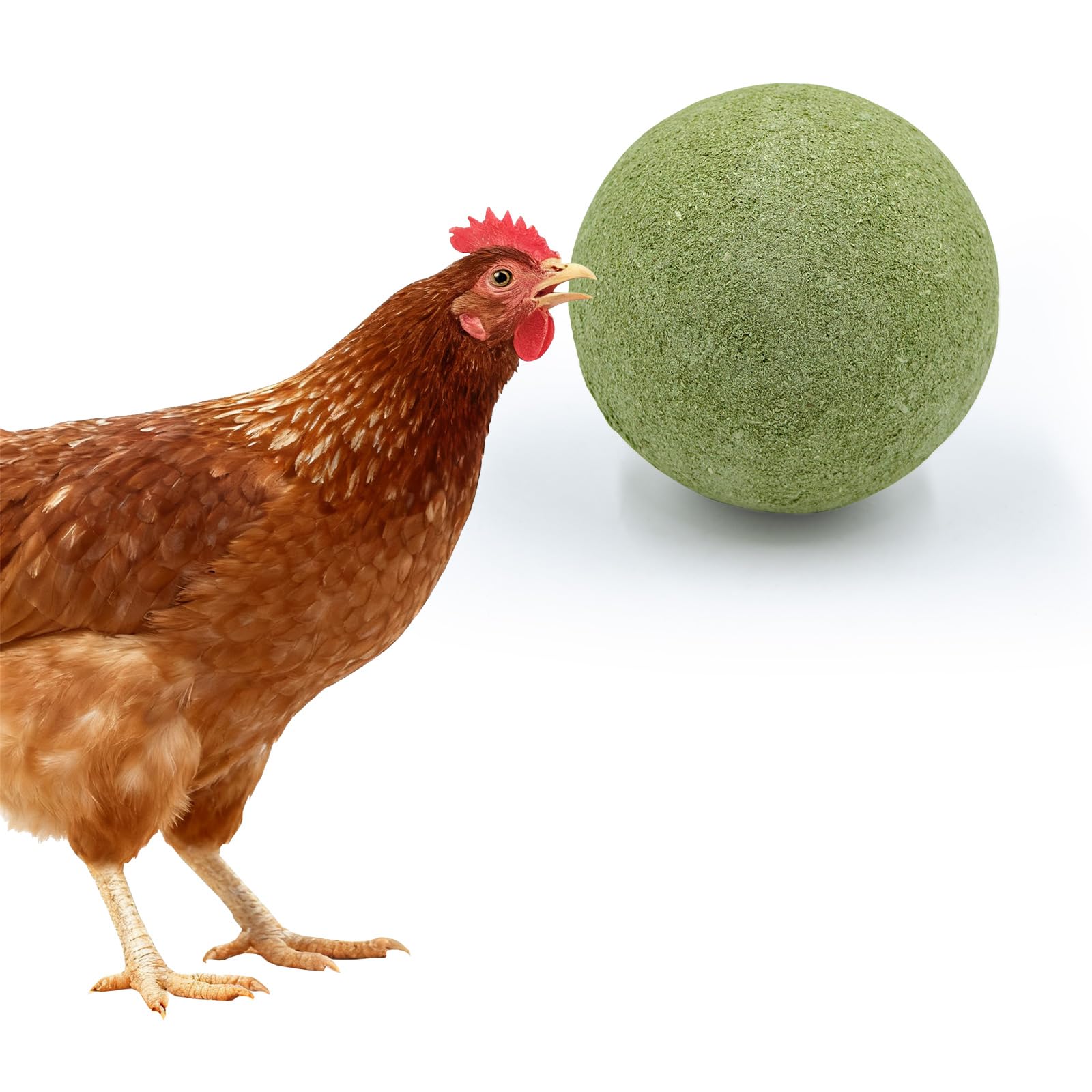 BingegePet boule menthe avant montrant la forme roulante bénéfique