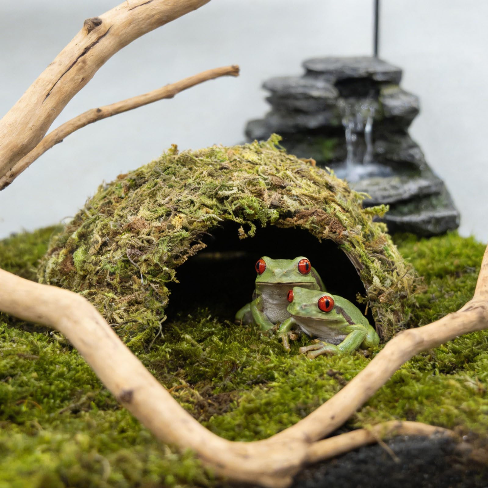 BingegePet gecko installé dans la cachette, encourage comportements naturels