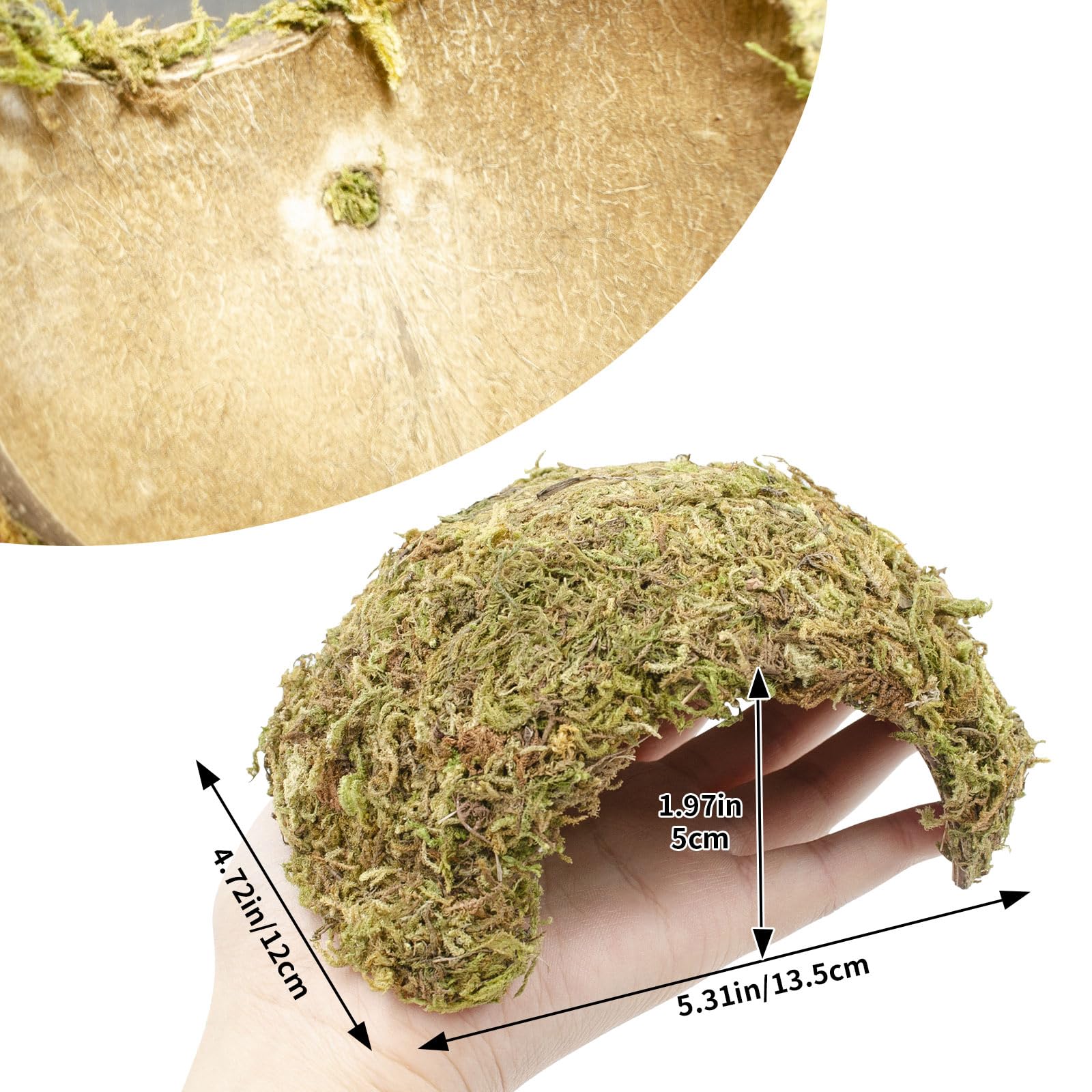 BingegePet gros plan sur la texture de la mousse, retient l'humidité efficacement
