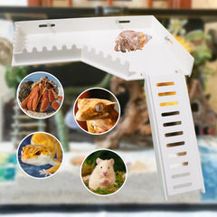 BingegePet ensemble monté dans terrarium illustre installation sans perçage pratique