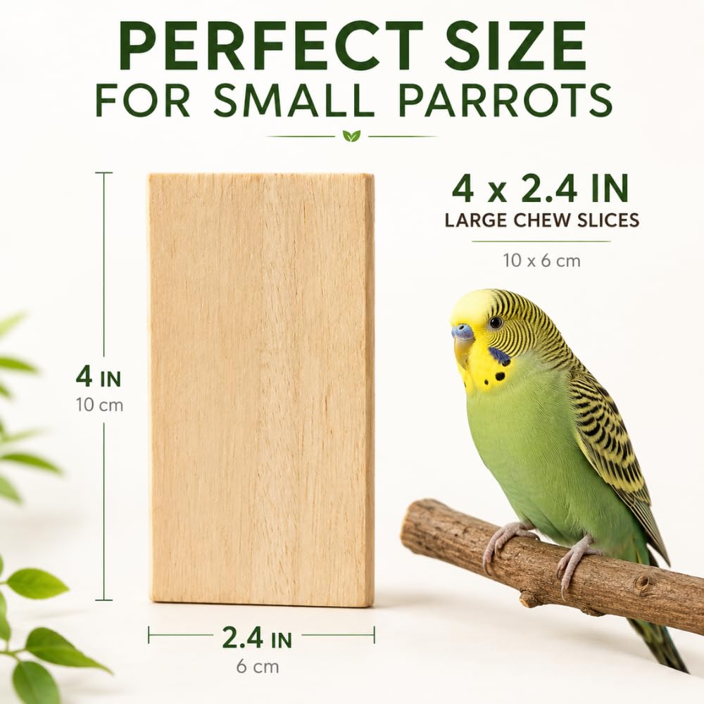 BingegePet gros plan texture bois balsa montrant douceur et maniabilité
