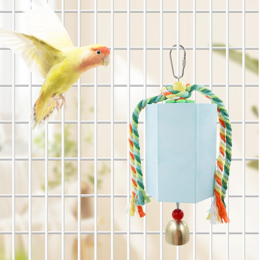 BingegePet pierre installée en cage améliorant enrichissement sensoriel