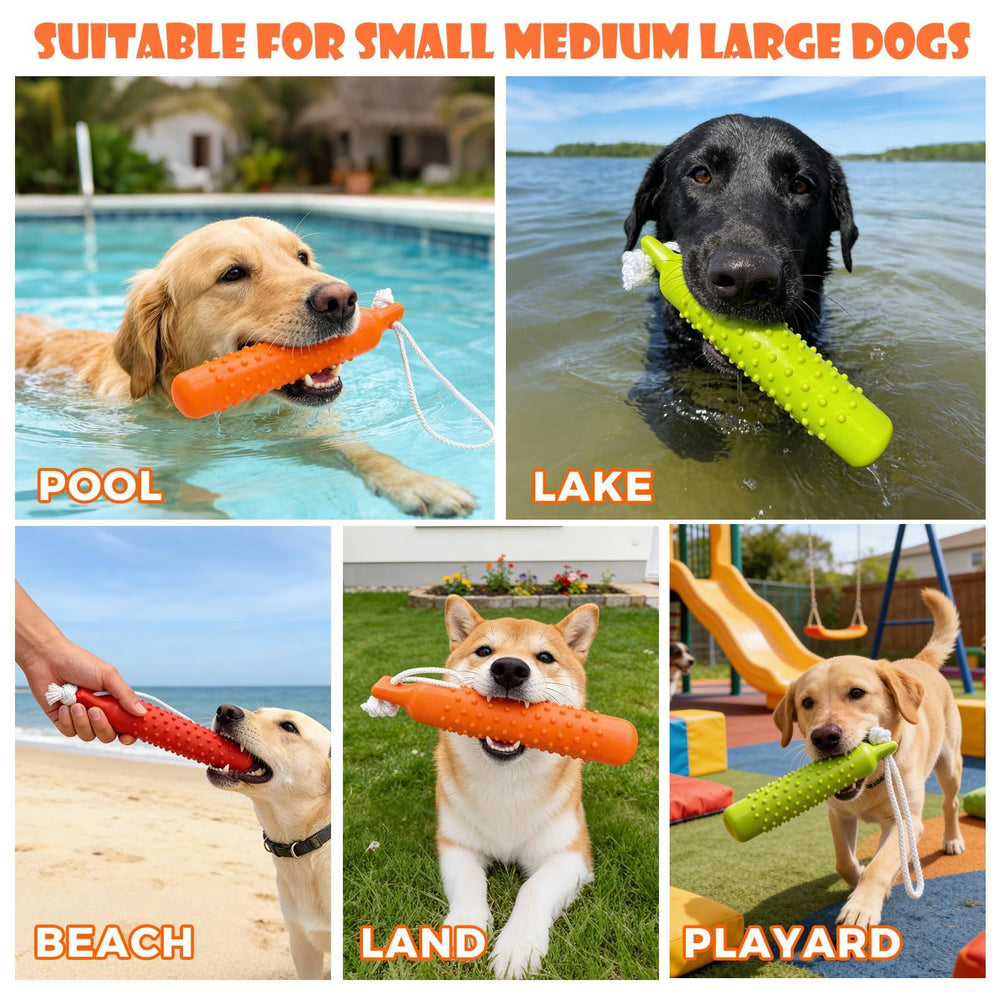 BINGPET retriever saisissant le bumper pour rappel efficace