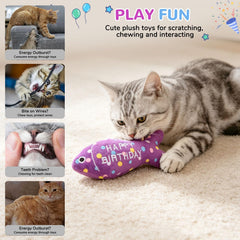 BINGPET gâteau peluche zoom texture rembourrage doux et herbe à chat