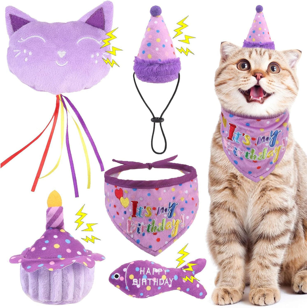 BINGPET pack anniversaire devant boîte montrant contenu festif et complet