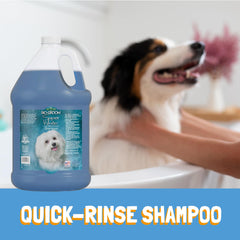 Bio-Groom shampooing appliqué par un toiletteur pour résultats pro