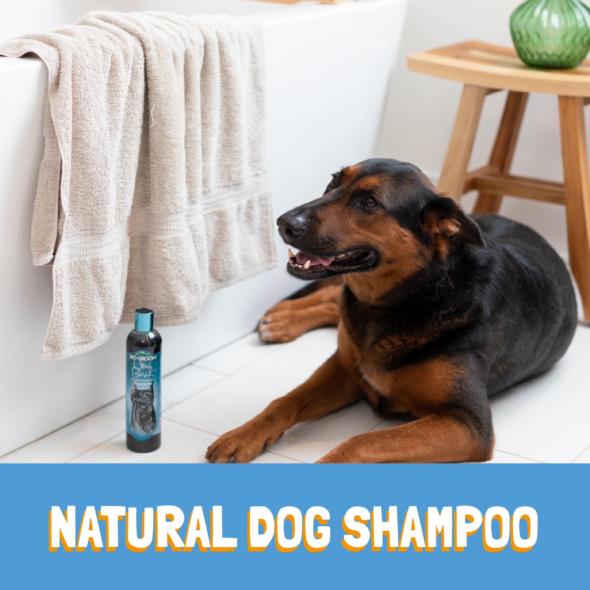 Bio-Groom application sur chien noir montrant amélioration visible du pelage