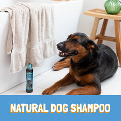 Bio-Groom application sur chien noir montrant amélioration visible du pelage