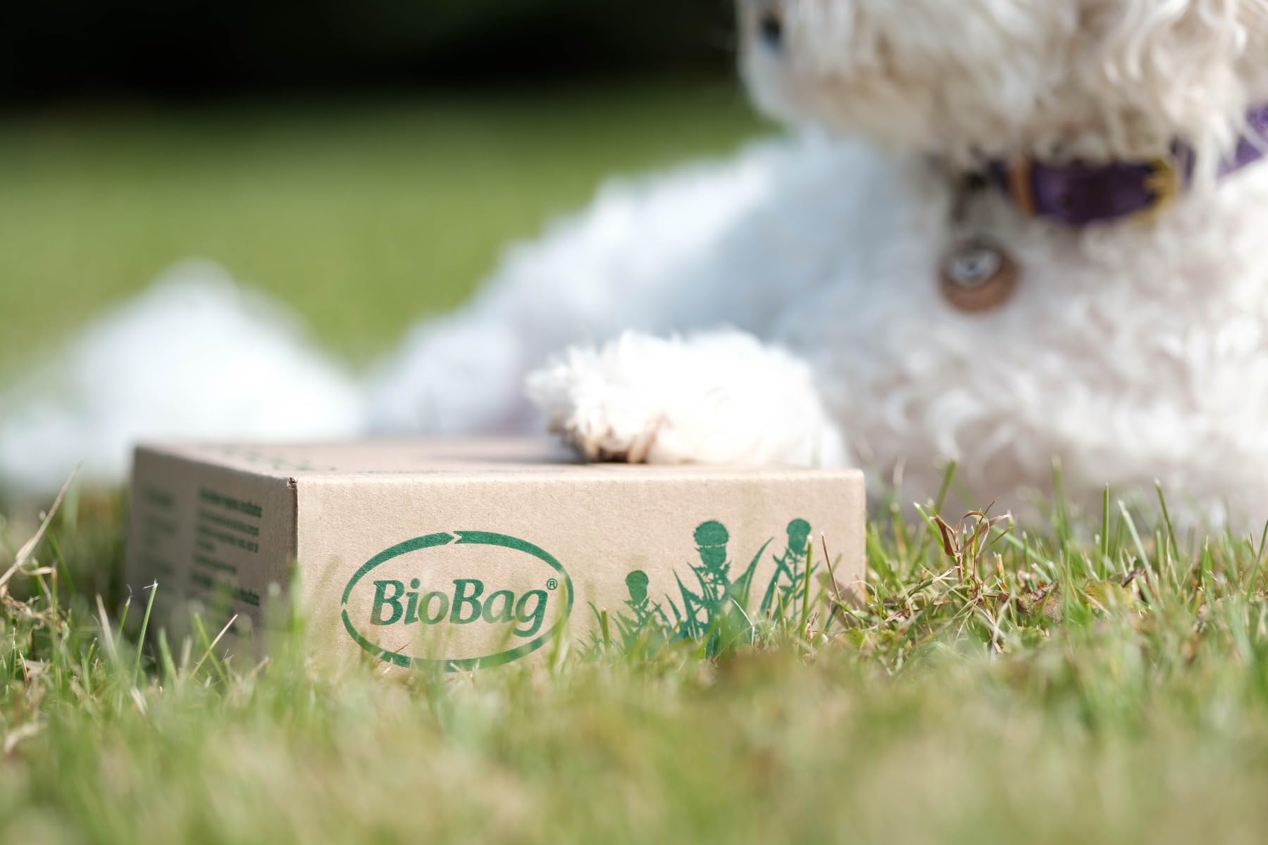 BioBag sac tenu lors d'une promenade illustrant étanchéité