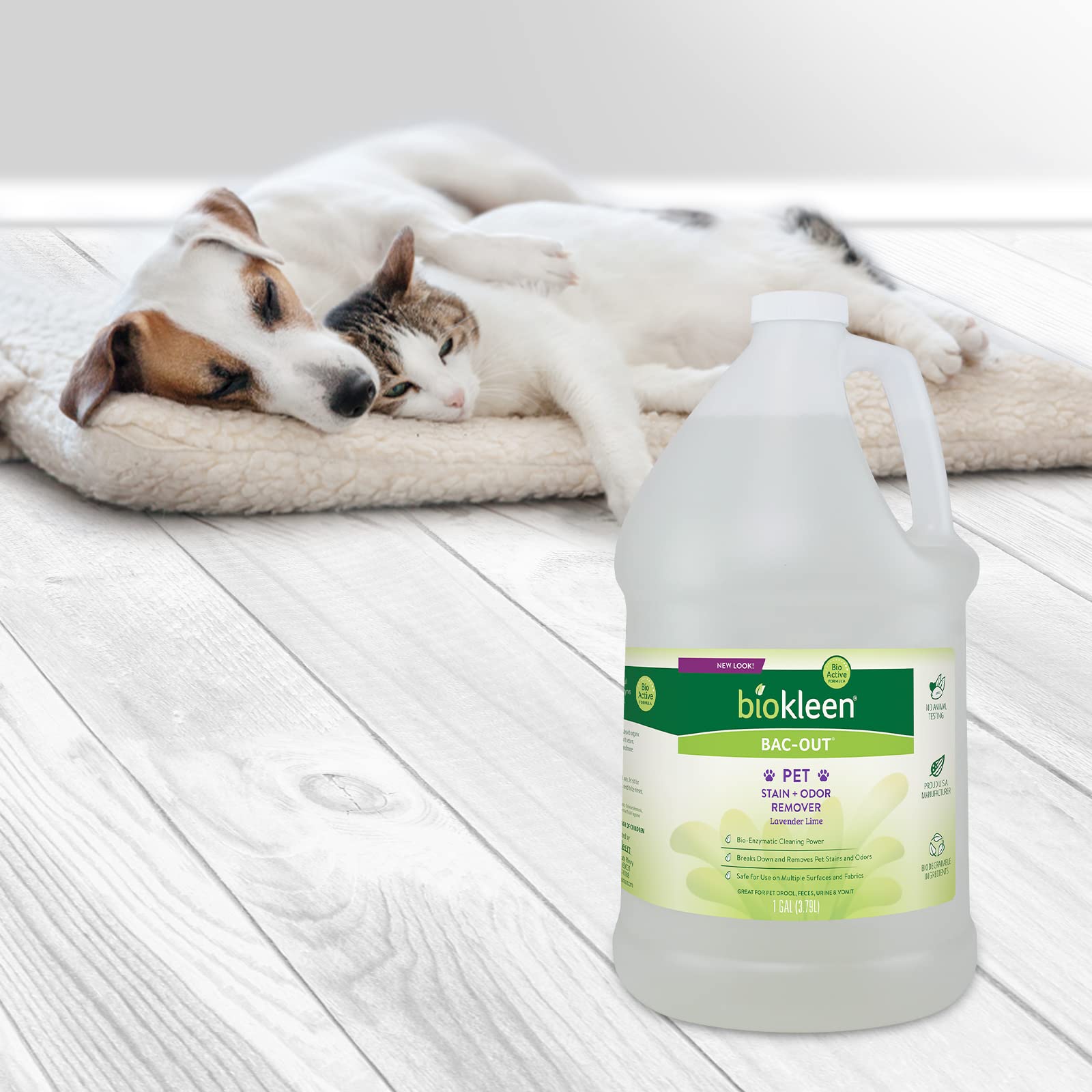 Biokleen Bac-Out comparaison taille main, un gallon économique pour foyers avec animaux