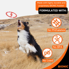 BIONIC Toss-N-Tug chien qui tire pour démontrer robustesse et engagement interactif